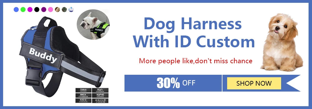 Customizable Dog Harness with ID for Small Dogs in Stylish Blue and Black Colors