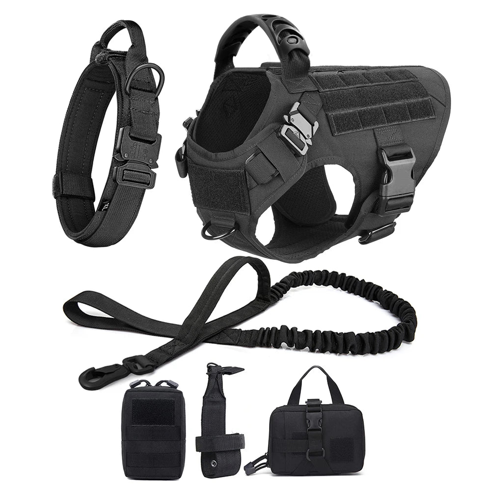 AlphaControl Pro Dog Harness & Leash Set in black, featuring adjustable straps and durable materials for pet comfort