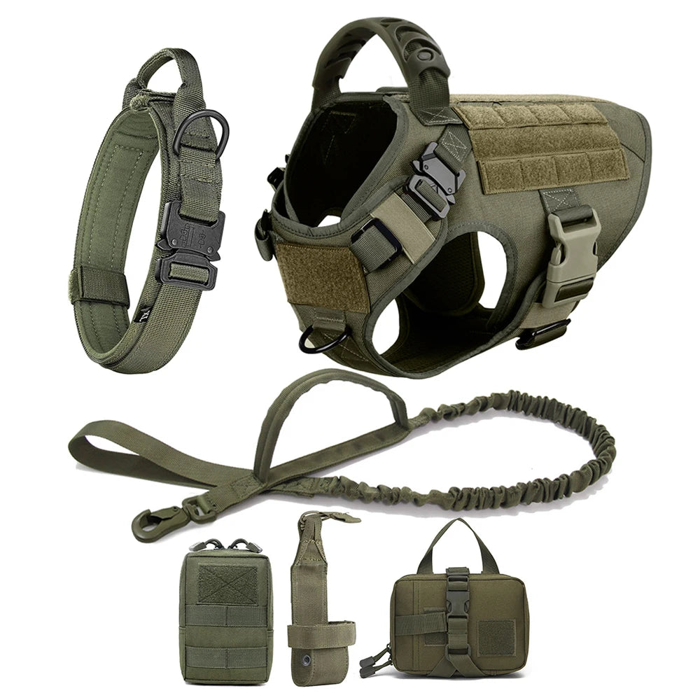 AlphaControl Pro Dog Harness & Leash Set in olive green with padded support and adjustable straps for comfort