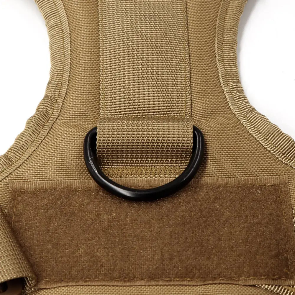 Close-up of AlphaControl Pro Dog Harness's durable strap and attachment ring for secure leash connection