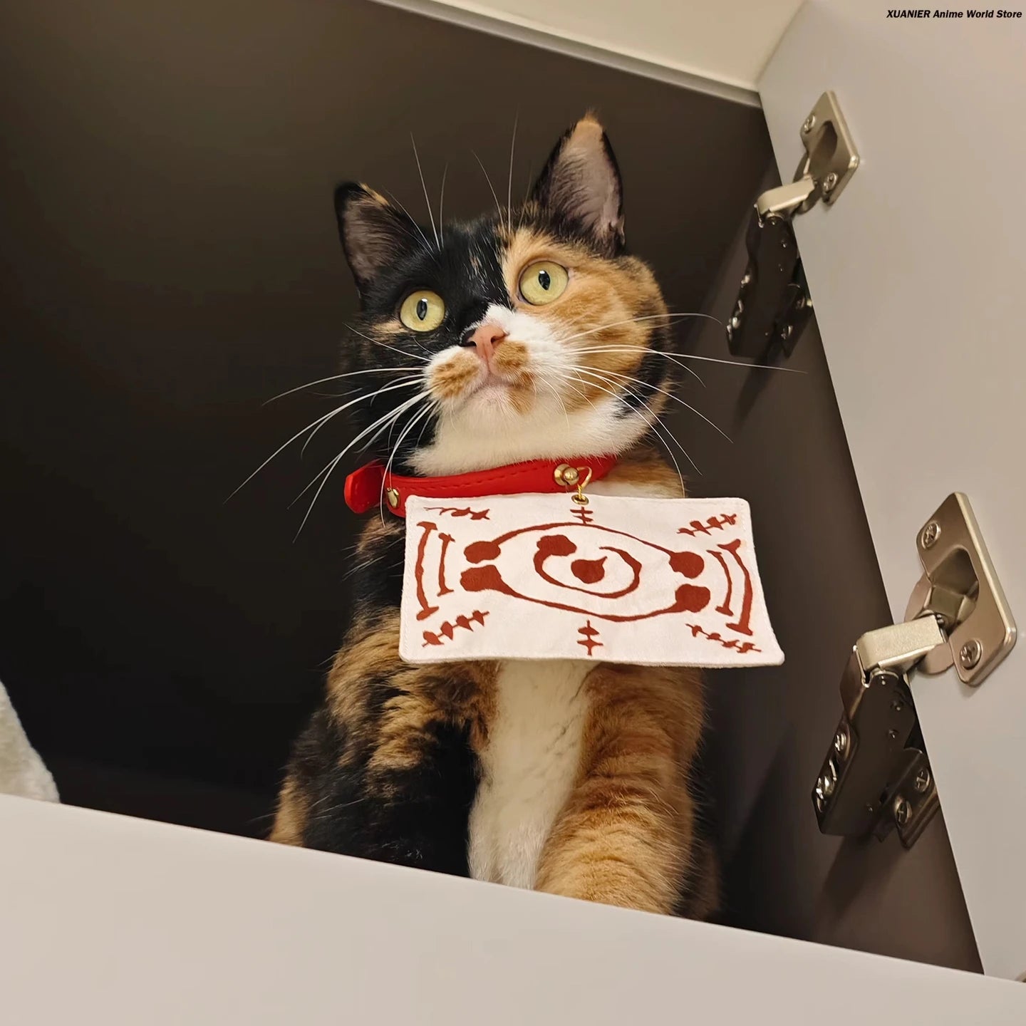 Cute cat wearing an anime cat costume for pets with a playful expression and stylish collar