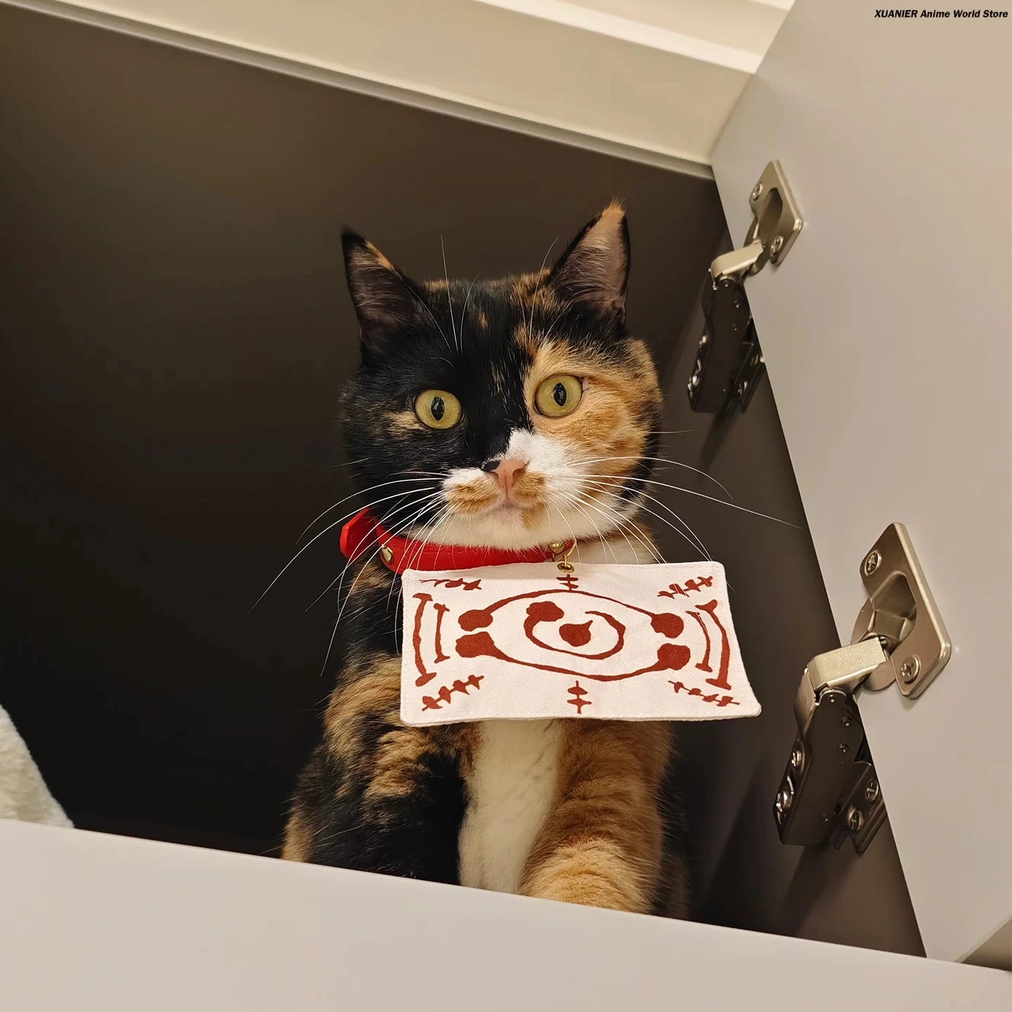 Cute calico cat wearing an anime cat costume for pets sitting on a shelf