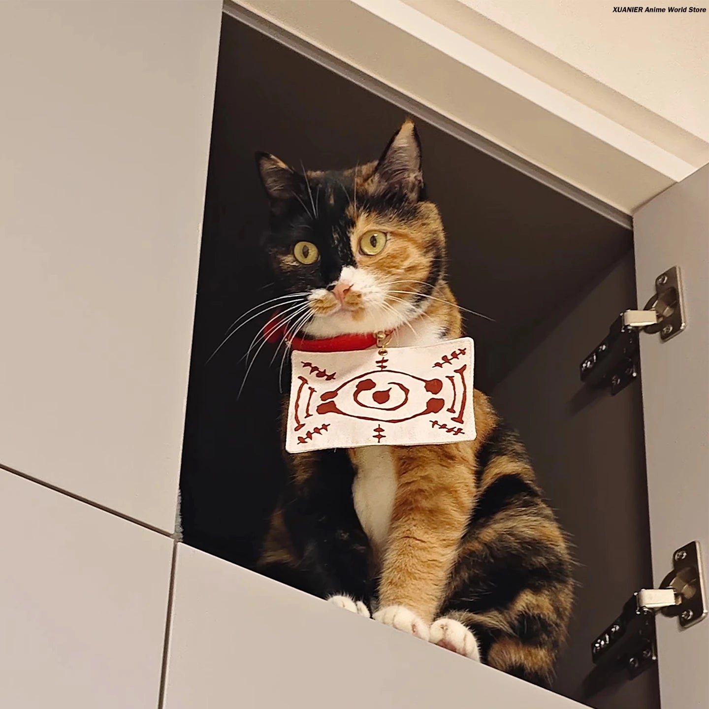 Adorable cat wearing an anime cat costume for pets sitting in a cabinet with playful ears