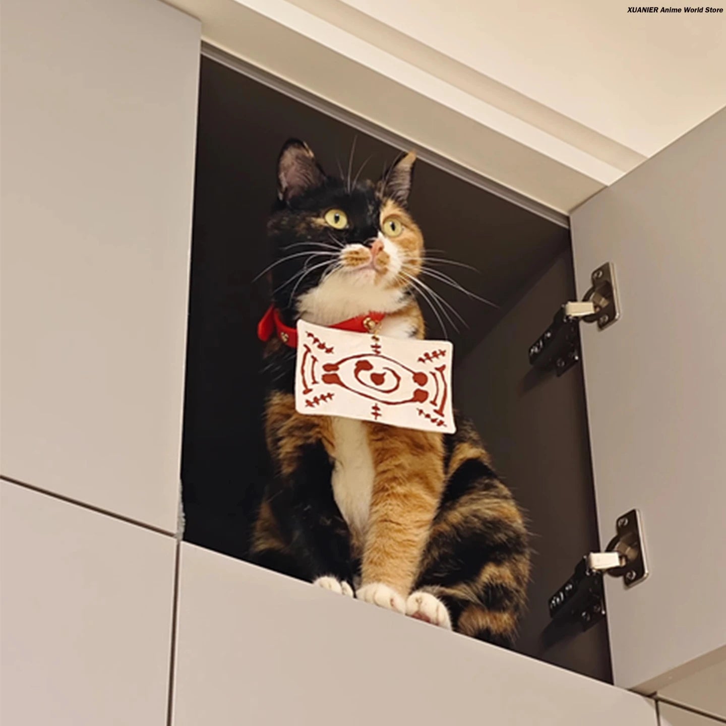 Cute calico cat wearing an anime cat costume for pets, sitting on a cabinet with a surprised expression