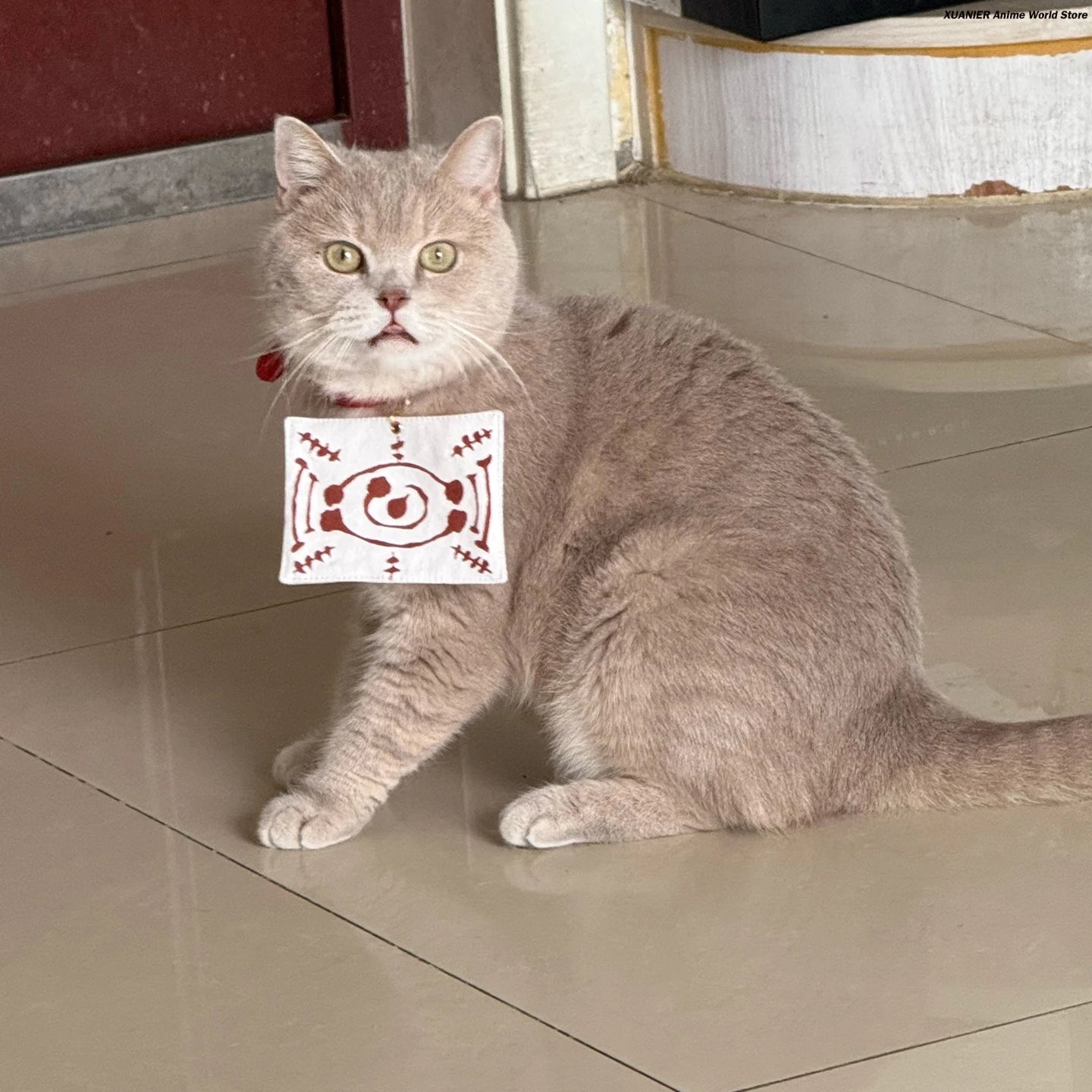 Cute pet wearing an anime cat costume for pets, showing playful features and colorful design