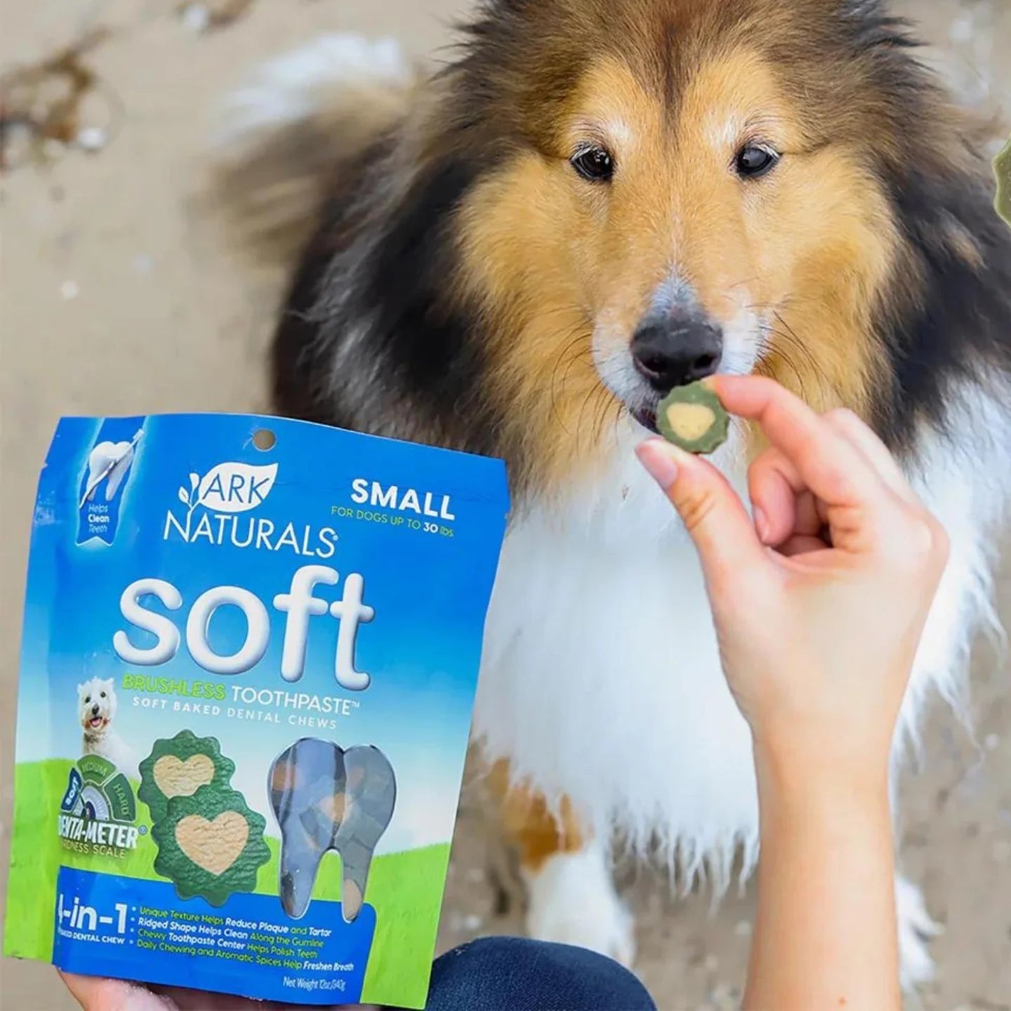 Soft canine dental treats in blue package held near a dog ready to eat the treat