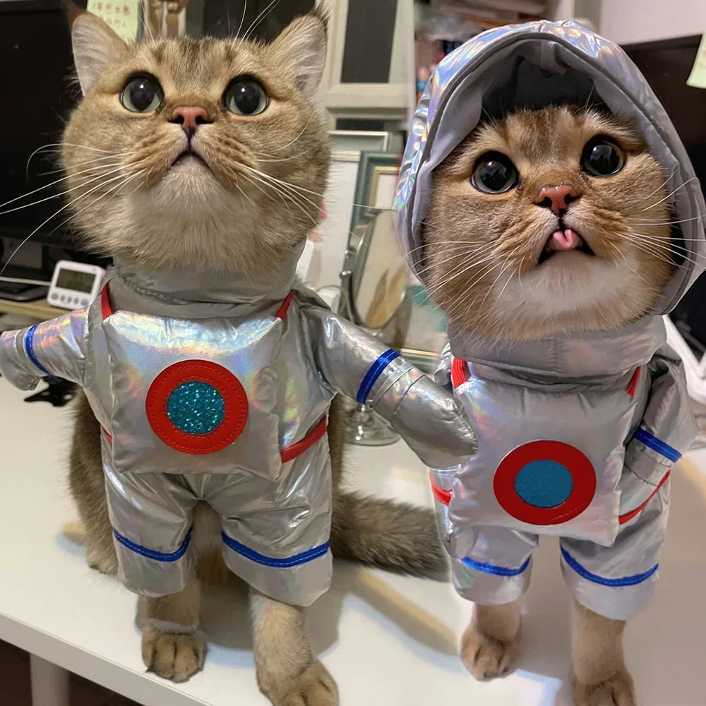 Two cats in shiny astronaut pet costumes, perfect for space-themed pet parties
