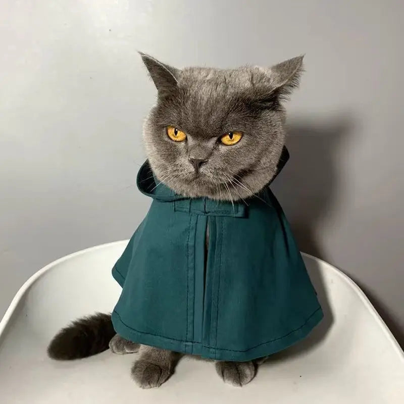 Adorable cat wearing an Attack on Titan pet cosplay costume in teal color with a stylish design