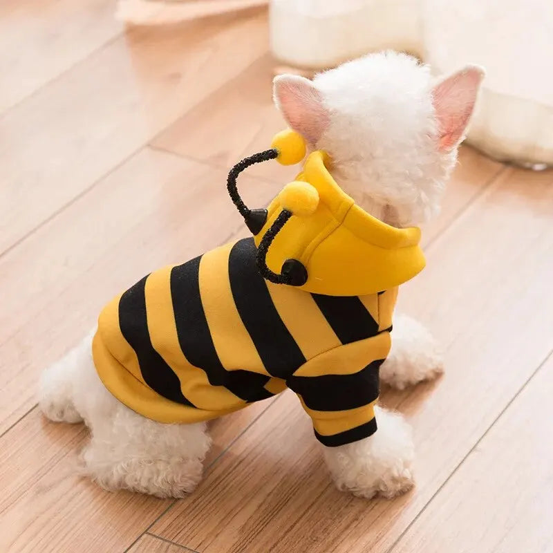 Adorable bee costume for small dogs in black and yellow stripes with a cute hood