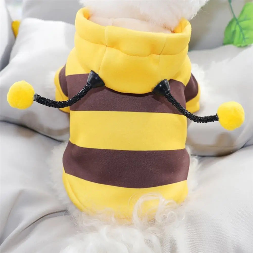 Cute bee costume for small dogs with yellow and brown stripes and playful antennae