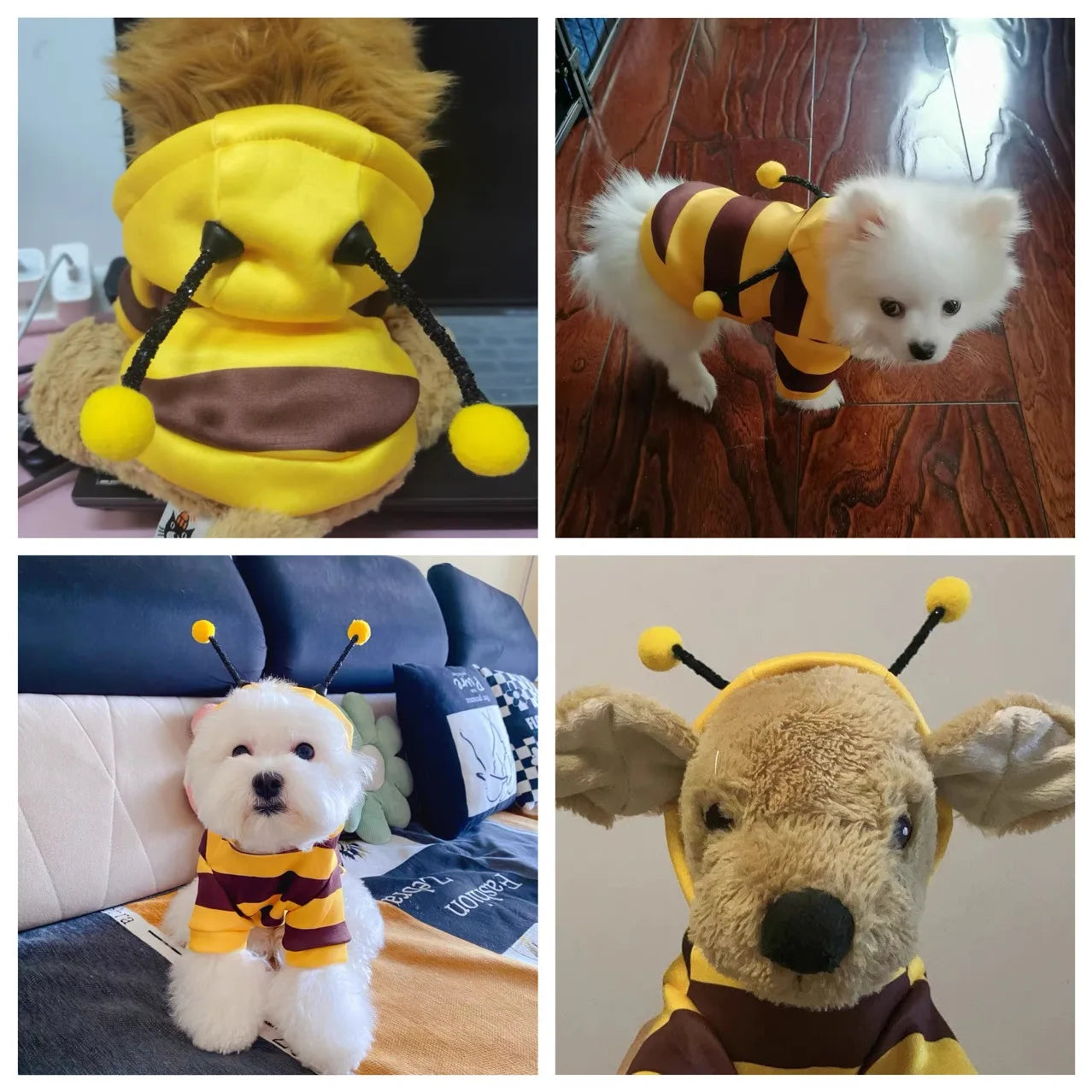 Adorable bee costume for small dogs in yellow and brown with cute antennae and pom poms