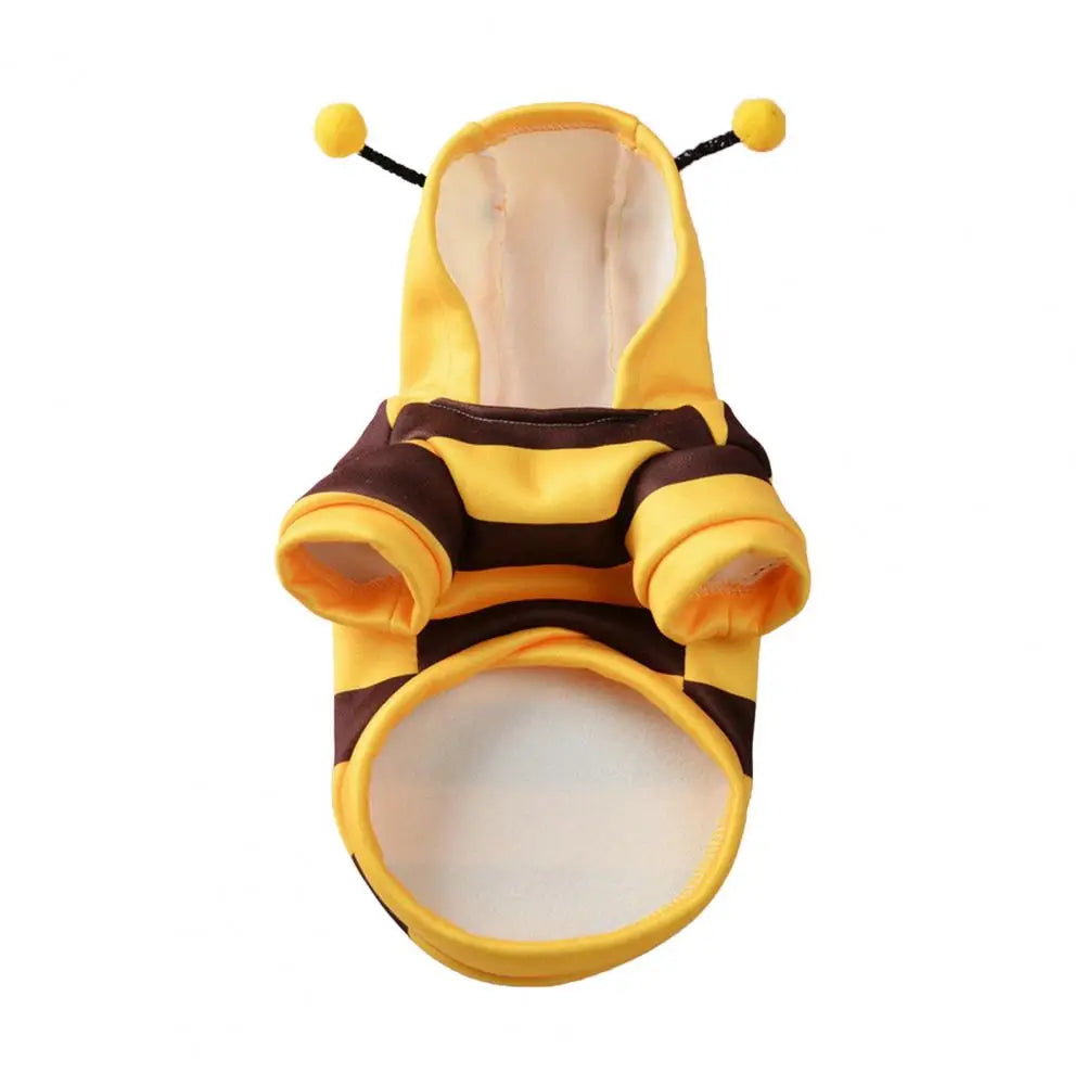 Bee costume for small dogs in yellow and brown with antennae detail for playful pets