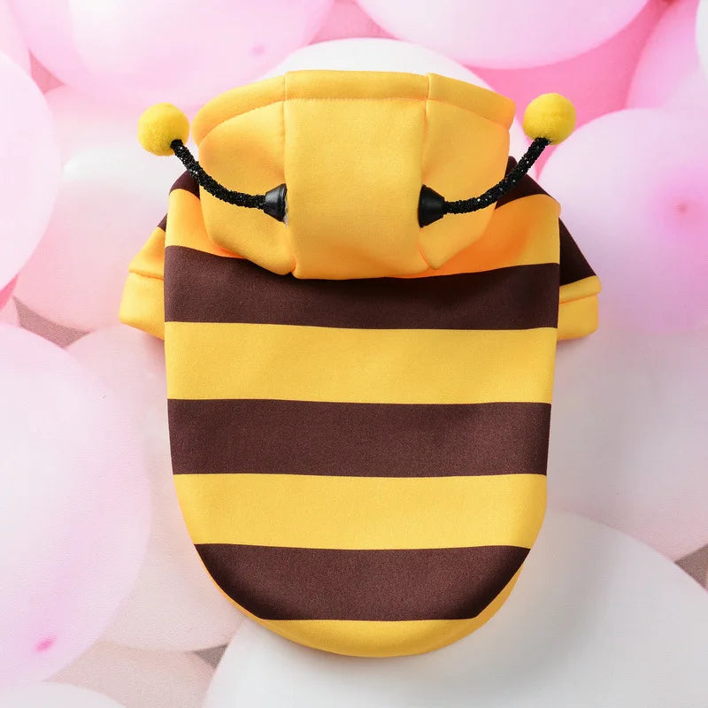Bee costume for small dogs with yellow and brown stripes and cute antennae