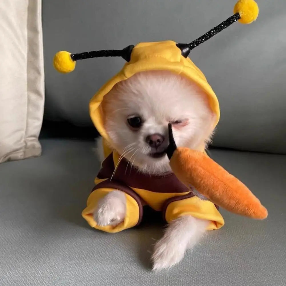 Adorable small dog dressed in a bee costume for small dogs with yellow and brown colors and antennae