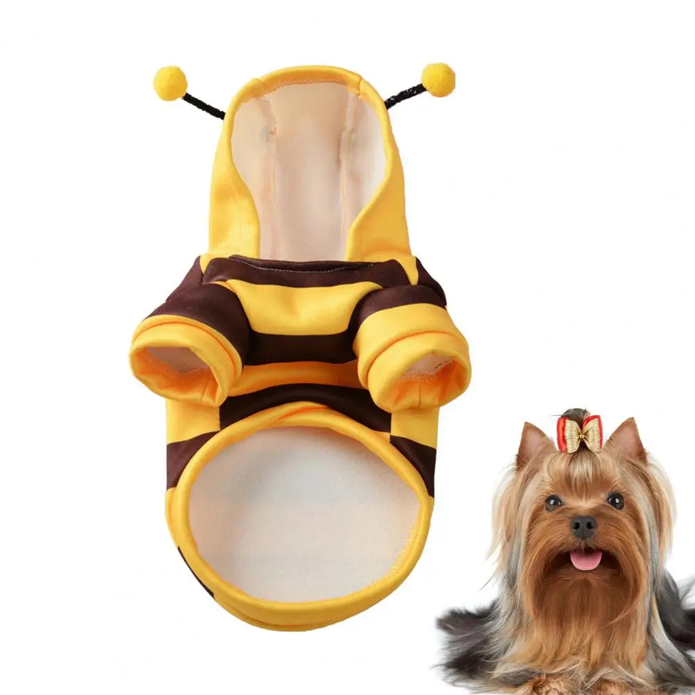 Adorable bee costume for small dogs with yellow and brown stripes and fuzzy antennae