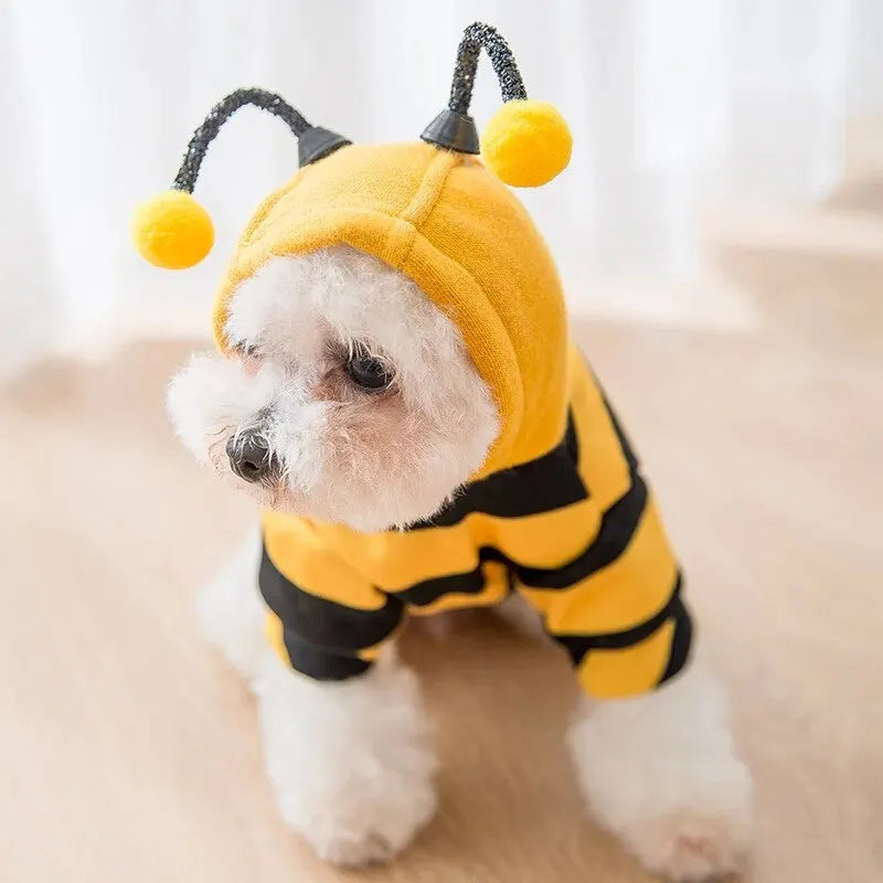 Adorable bee costume for small dogs in yellow and black with cute antennae design