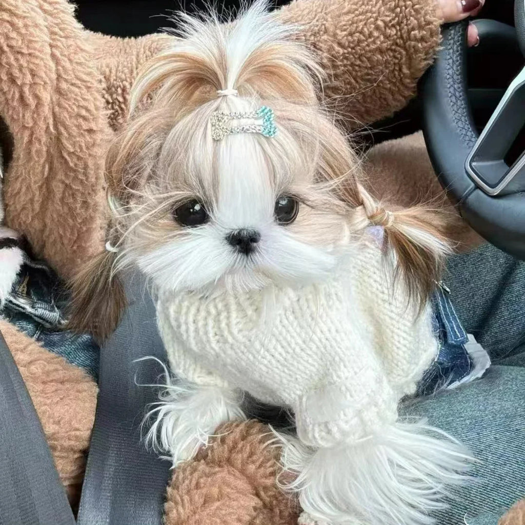 Adorable dog in a beige knit dog sweater with bear design, showcasing cute style and warmth