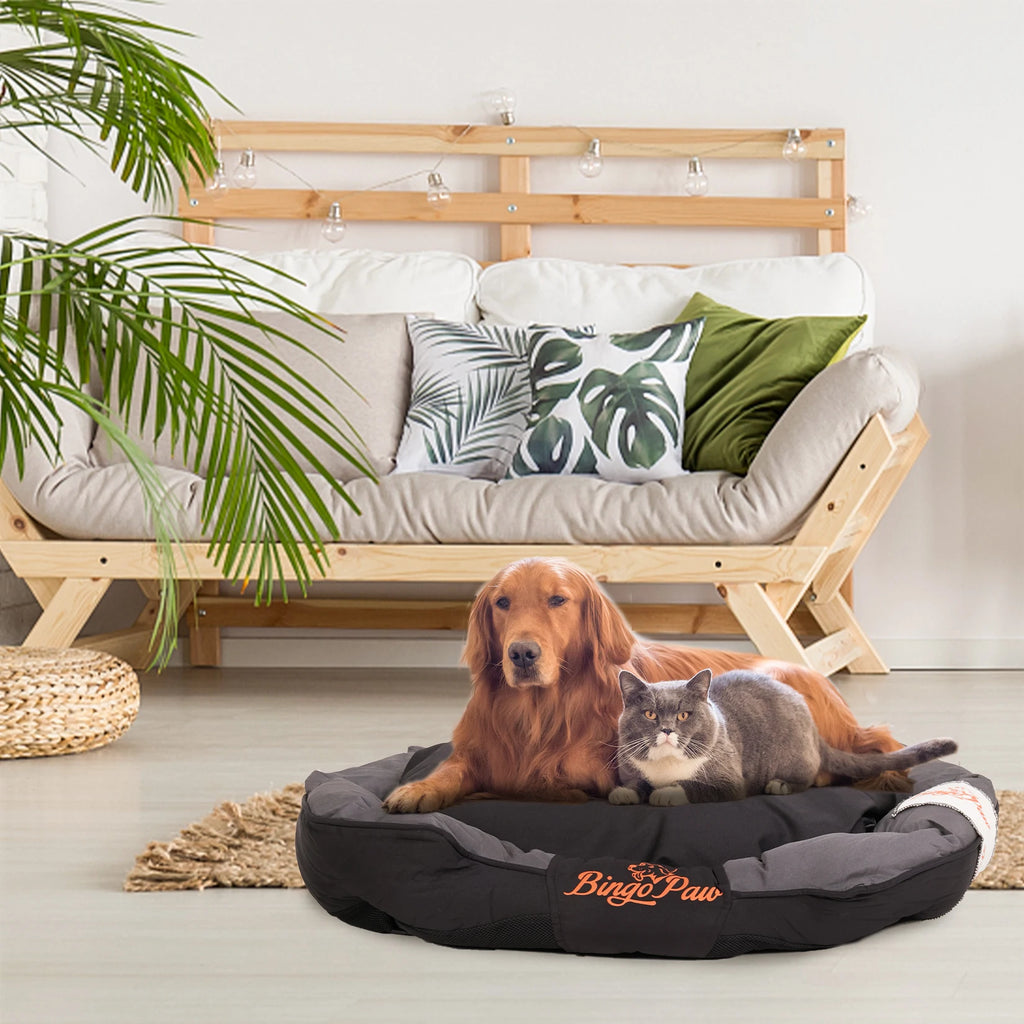 Calming pet sofa bed for dogs with a golden retriever and a cat lounging comfortably