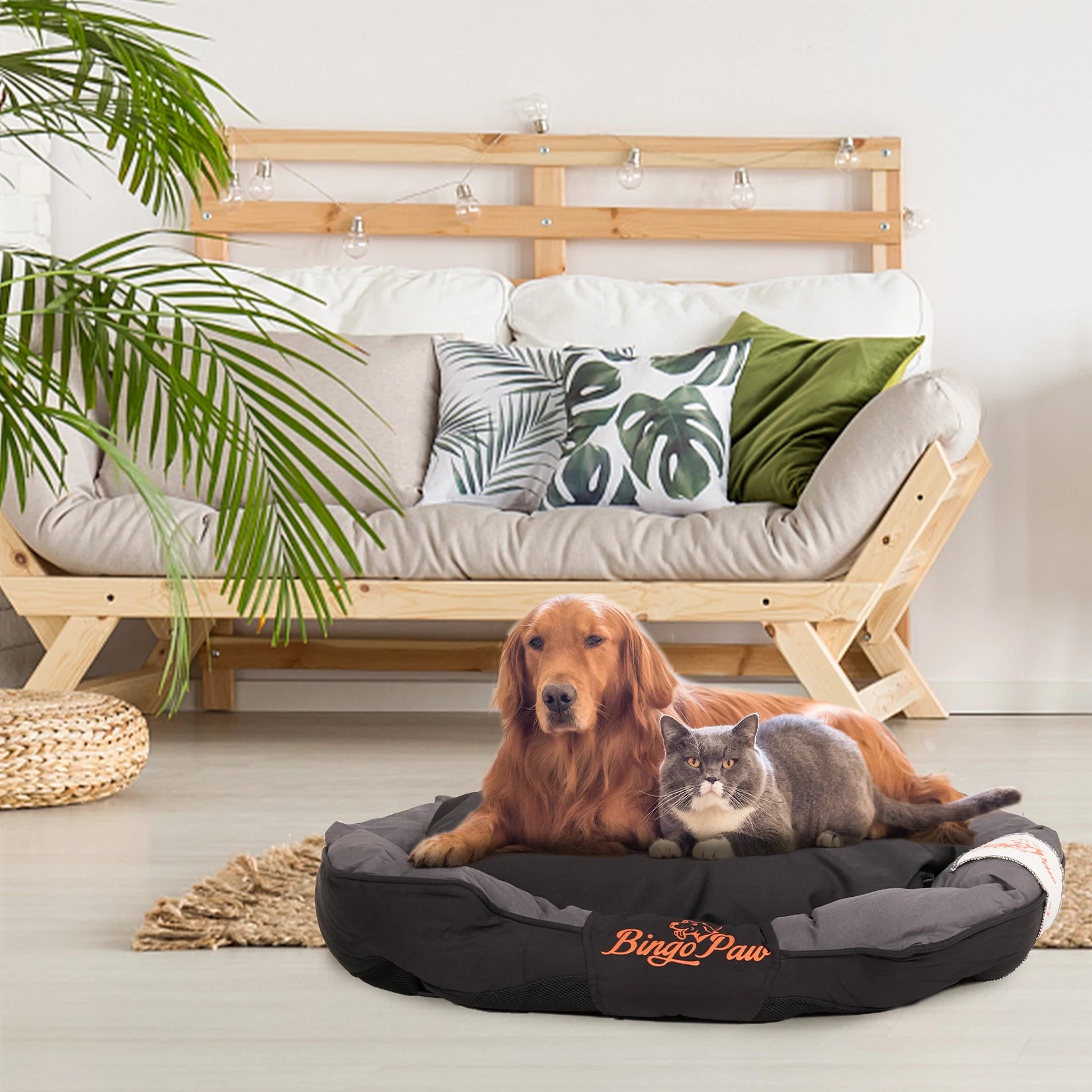 Calming pet sofa bed for dogs with a golden retriever and a cat lounging comfortably
