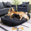 Cozy calming pet sofa bed for dogs with two happy dogs lounging together