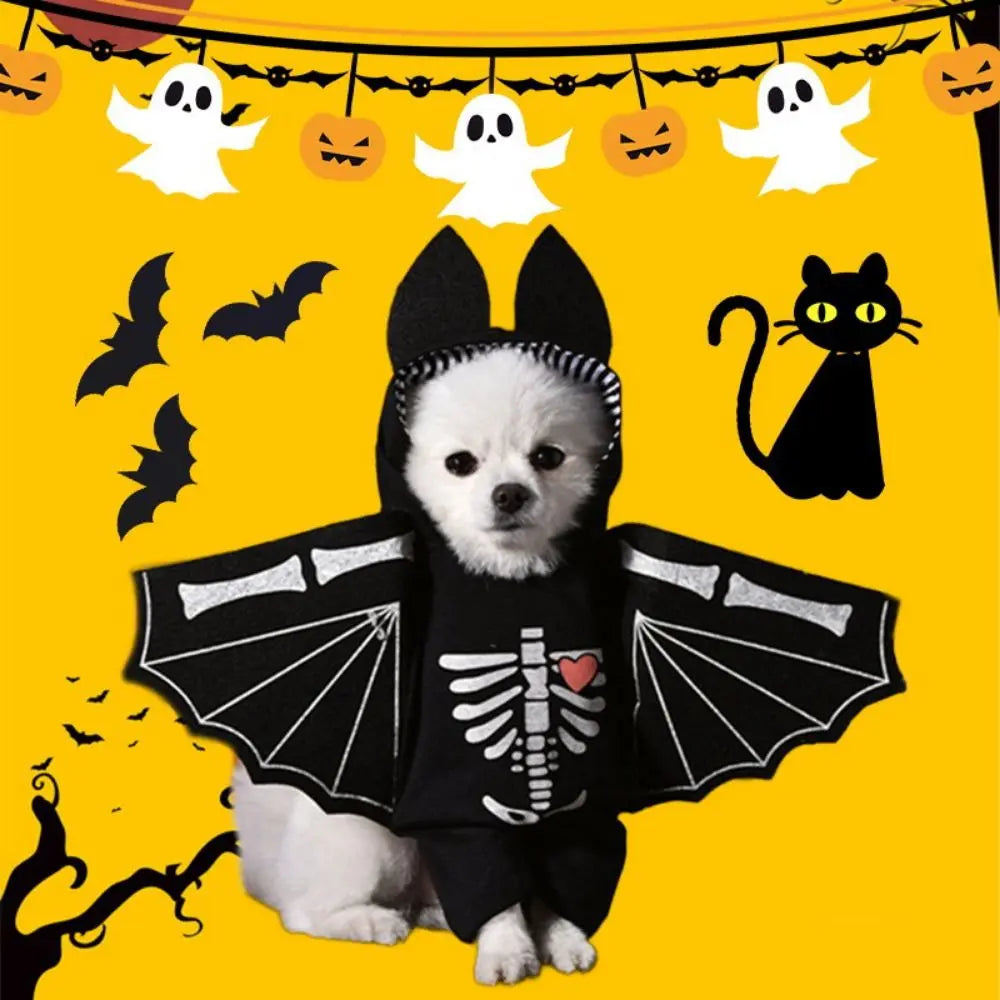 Small dog wearing a black bat costume for small dogs with skeleton design and bat wings
