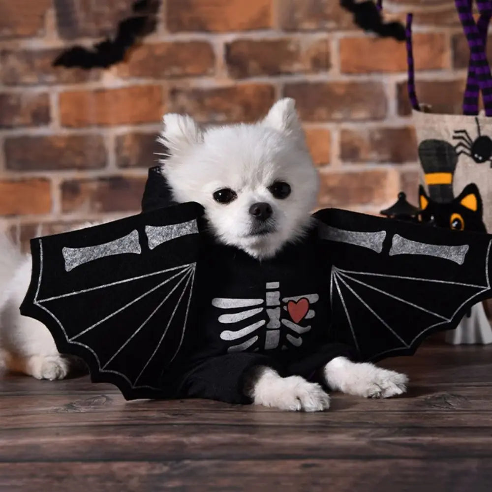 Adorable small dog in a skeleton-themed black bat costume for small dogs with wing details