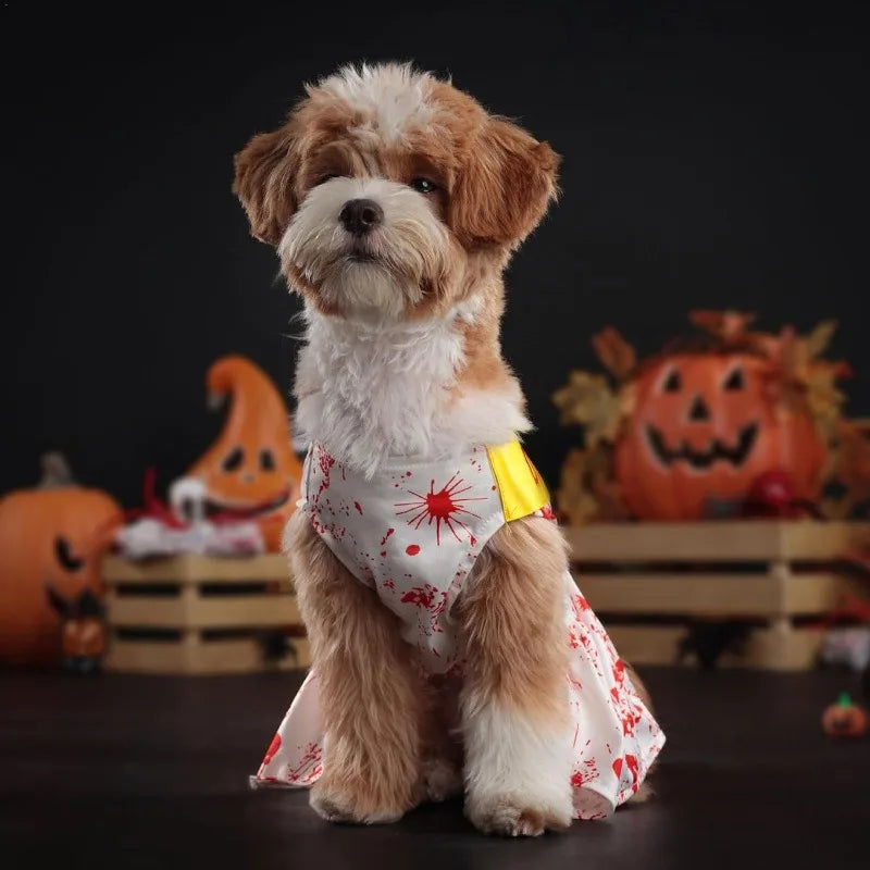 Cute dog wearing a blood splatter dog dress, perfect for Halloween festivities and events