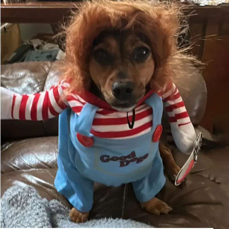 Dog in a bloody doll dog costume with wig and striped shirt, sitting on a couch