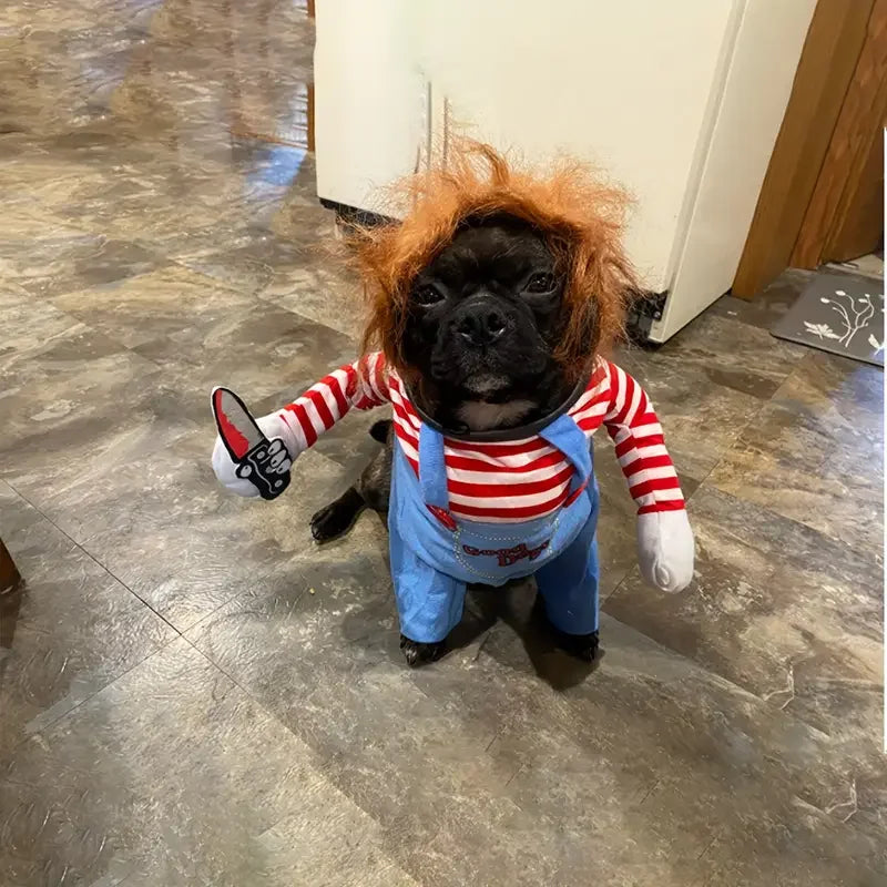 Adorable dog wearing a bloody doll dog costume with wig, complete with striped shirt and toy chainsaw