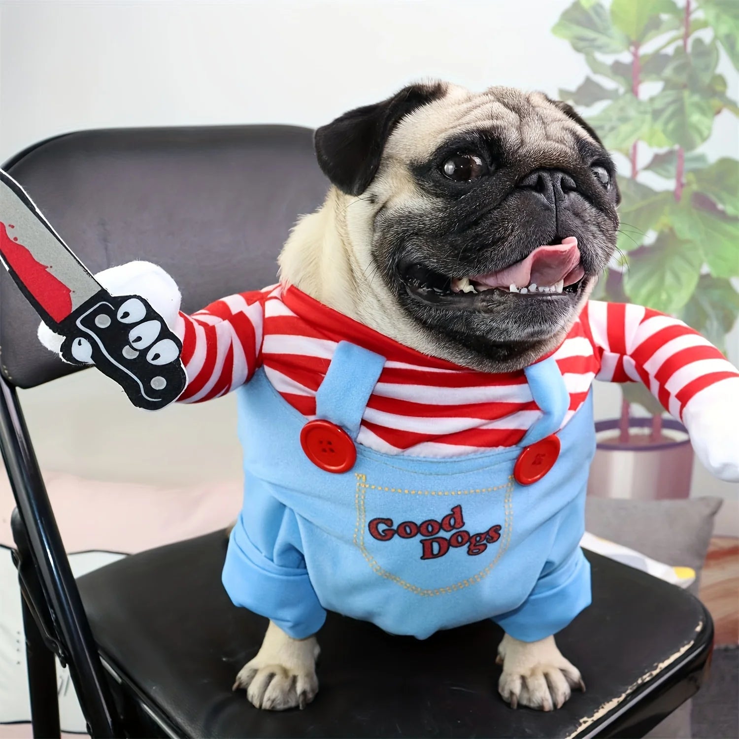 Adorable pug in a bloody doll dog costume with wig, holding a toy knife, ready for Halloween