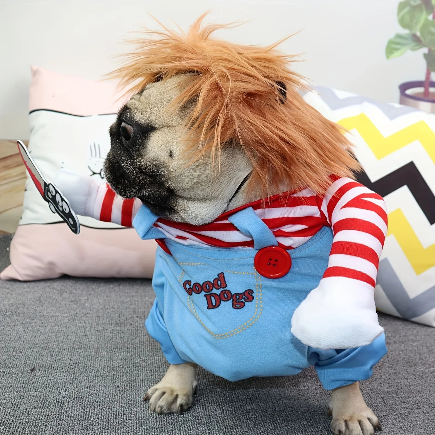 Playful pug in bloody doll dog costume with wig, featuring blue outfit and red stripes for Halloween fun