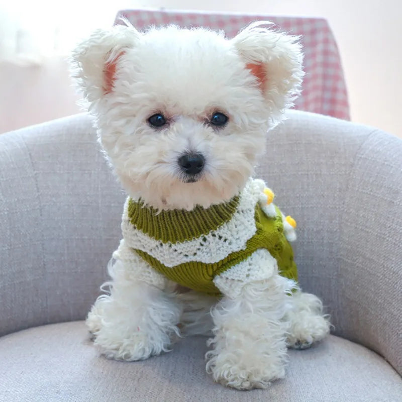 Adorable dog wearing a blossoming flower dog sweater in green with floral details