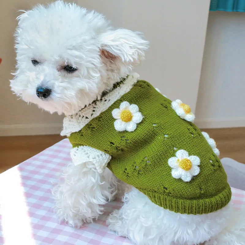 Adorable dog wearing a blossoming flower dog sweater with crochet floral accents in green