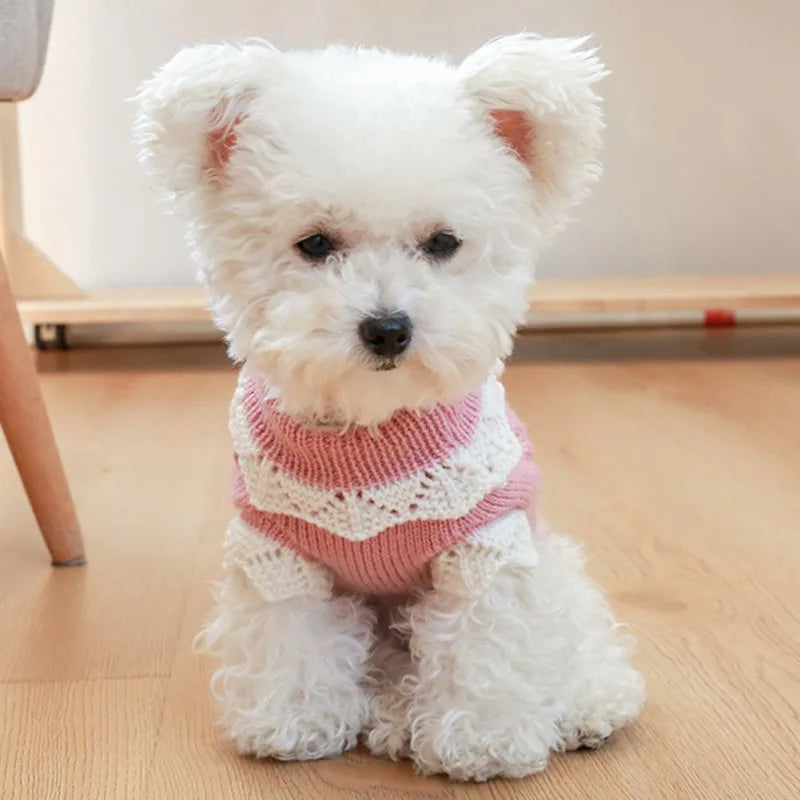 Adorable puppy wearing a blossoming flower dog sweater in pink with a lace trim design