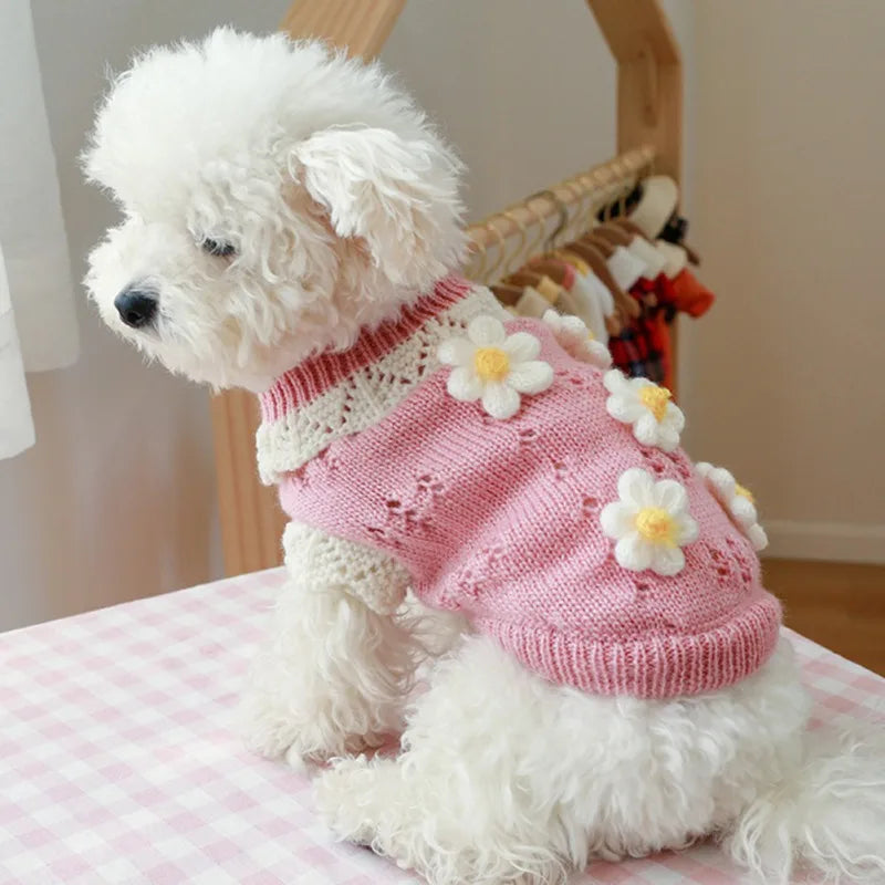Cute dog wearing a pink blossoming flower dog sweater with decorative flowers for cozy style
