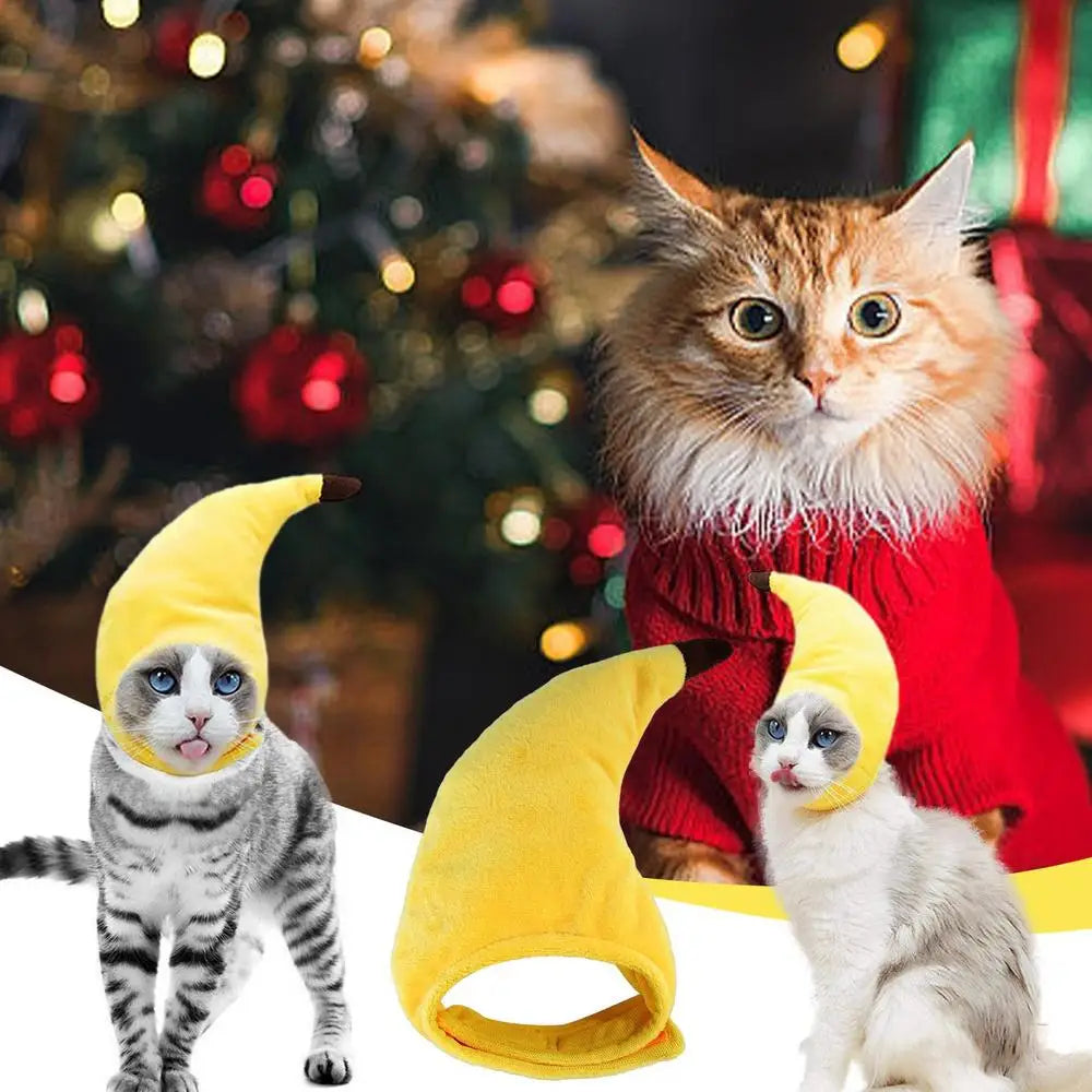 Two cats in a cat banana costume with festive background and holiday decorations