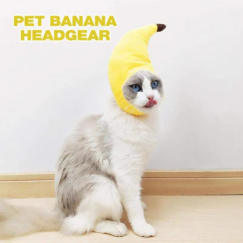 Cute cat wearing a cat banana costume headgear in yellow with playful expression