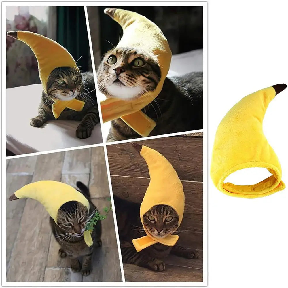 Cute cat wearing a yellow cat banana costume with a playful design for pet dress-up occasions
