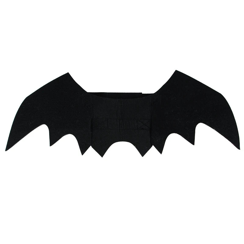 Zoomies & Co Cat Bat Wings Costume in Black for Halloween Pet Dress-Up Fun