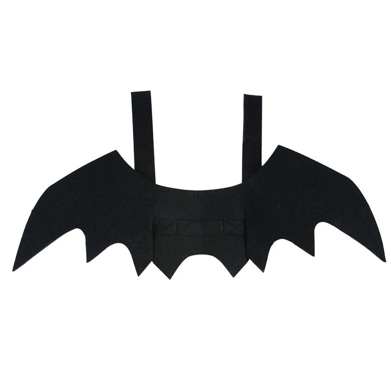 Cat bat wings costume for pets featuring adjustable straps for a fun Halloween look