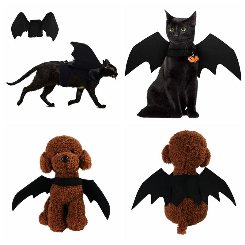 Cat bat wings costume for pets, featuring adjustable straps for a playful Halloween look