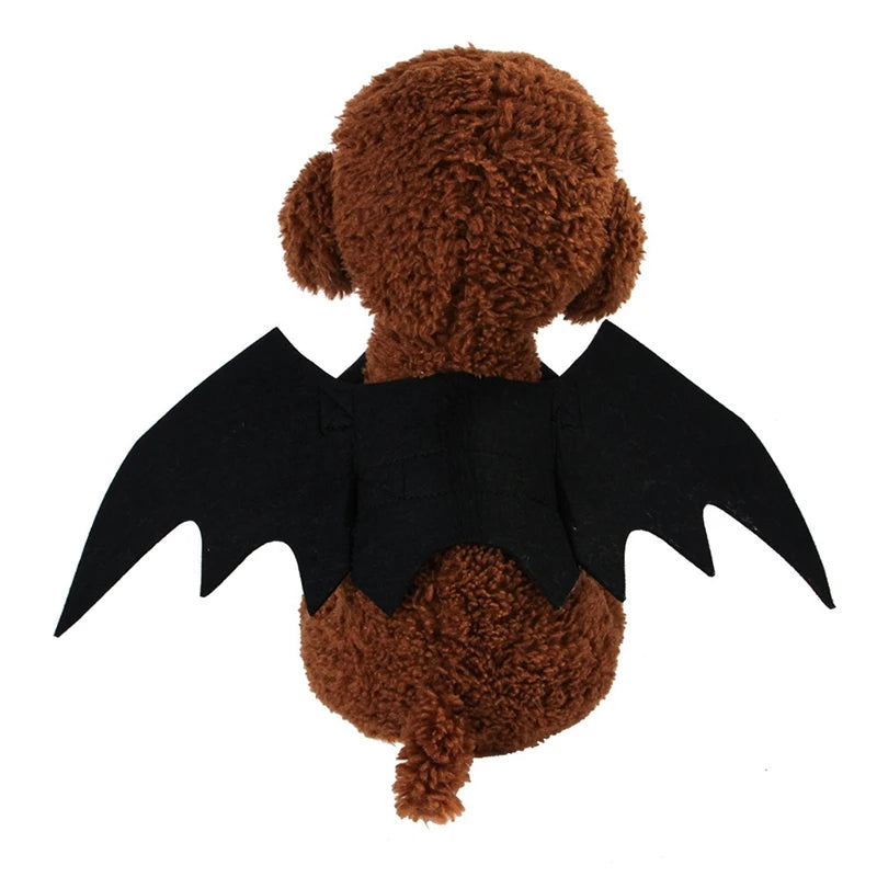 Adorable plush toy dressed in a cat bat wings costume for Halloween fun