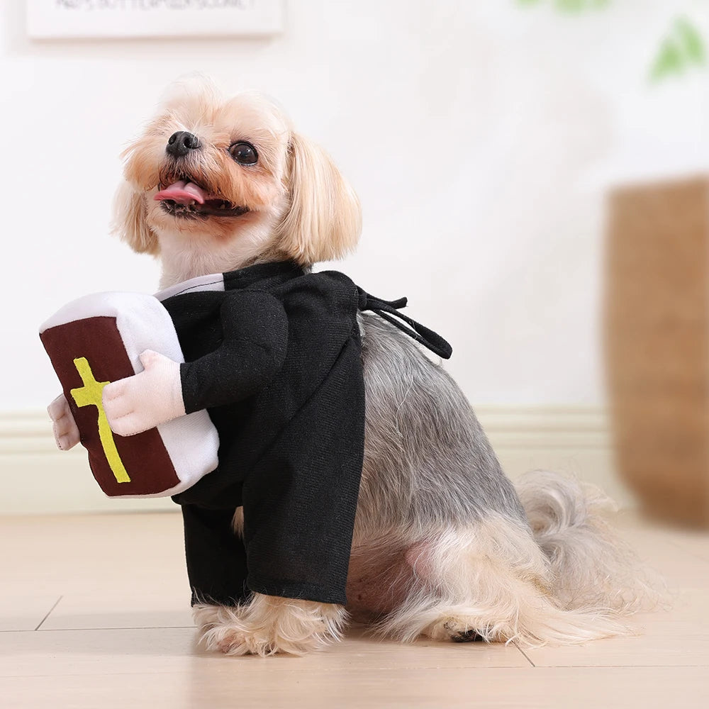 Adorable dog in a cat cosplay costume bible cross outfit holding a plush Bible