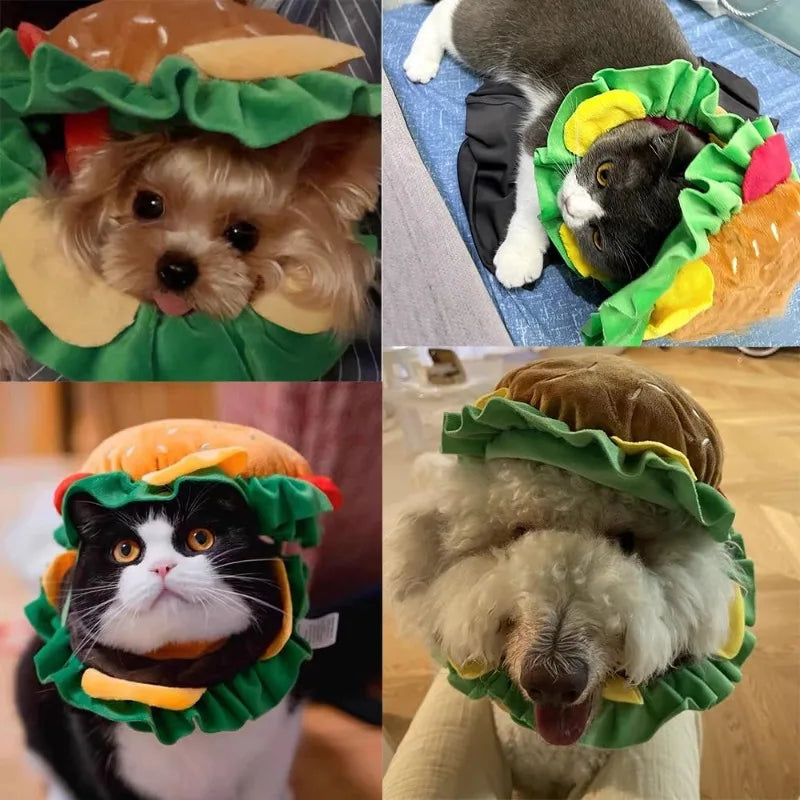Adorable pets wearing a cat hamburger costume hat, featuring a colorful burger design