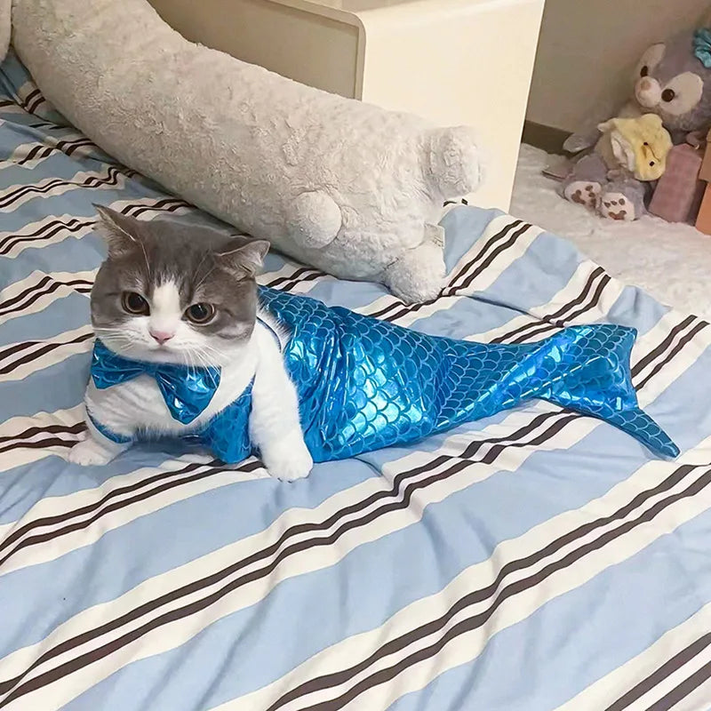 Cute cat in a shimmering blue cat mermaid costume lying on a striped bedspread