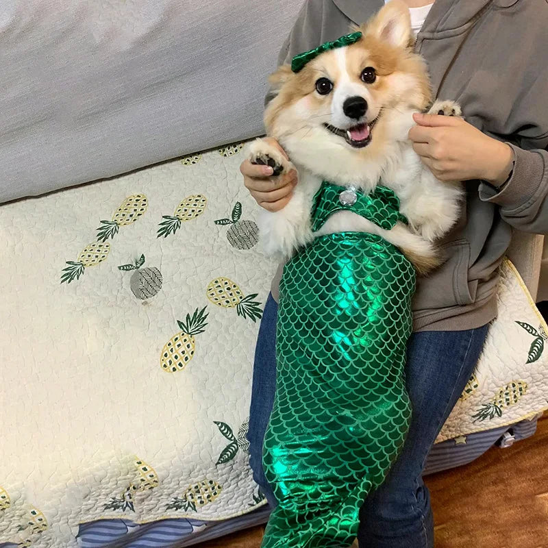 Adorable dog in a sparkly cat mermaid costume with fins and a bow, perfect for themed dress-up