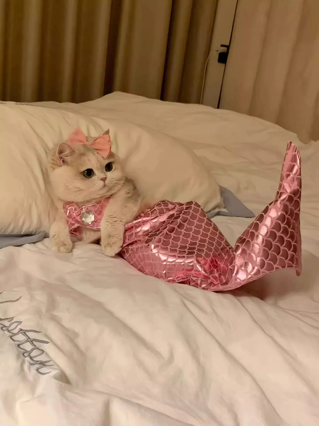 Adorable cat in a pink mermaid costume by Zoomies & Co with a shiny tail and bow on its head