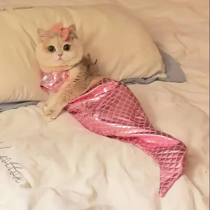 Cute cat in a pink mermaid costume for pets from Zoomies & Co