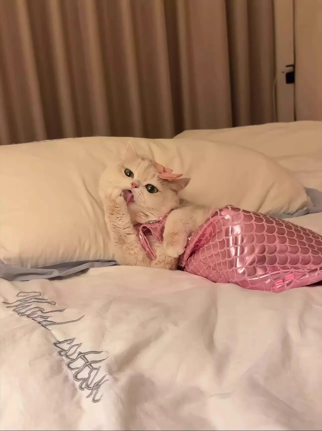 Adorable cat in a pink mermaid costume lounging on a bed, showcasing its playful personality