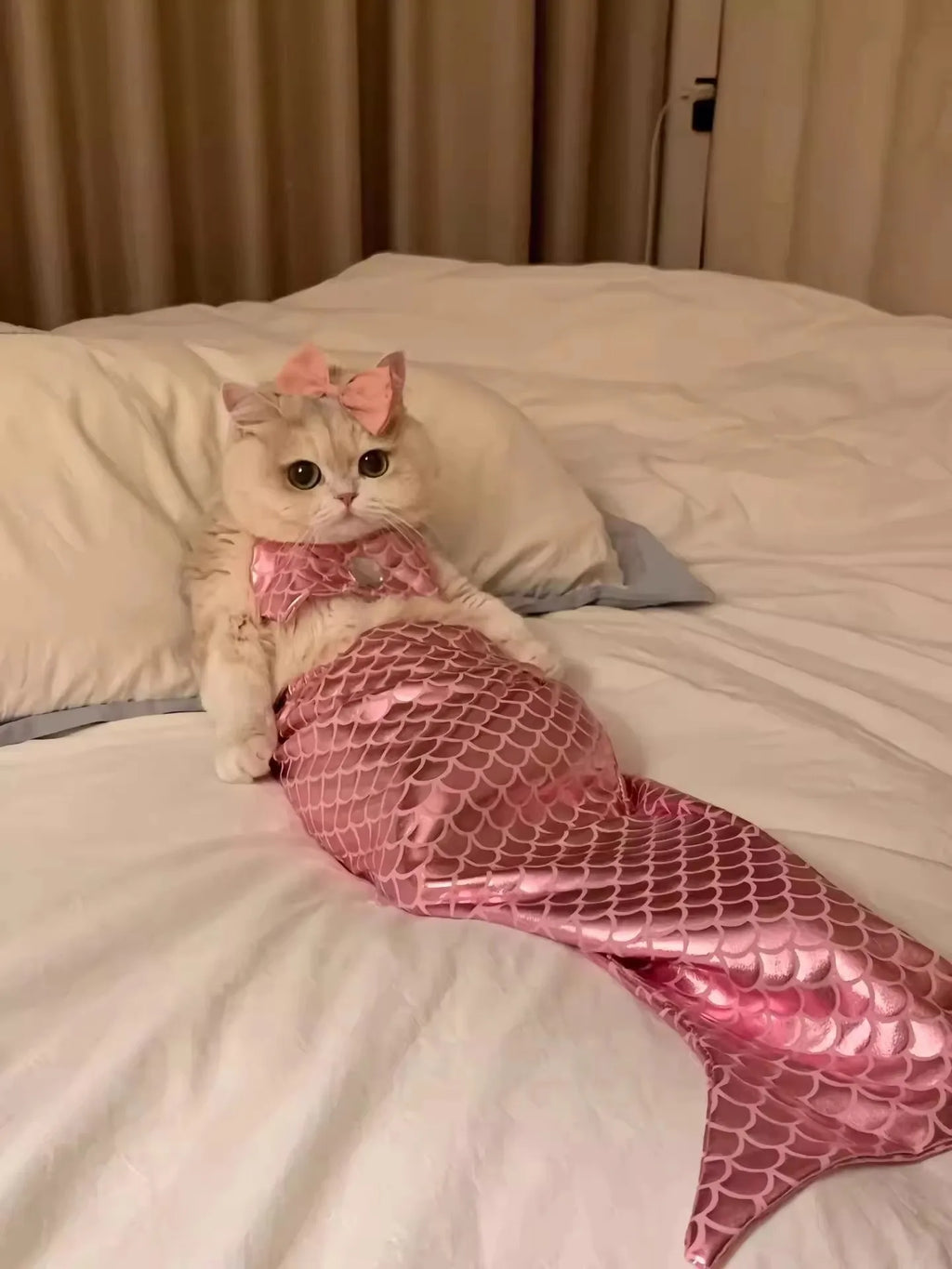 Adorable cat in a pink mermaid costume with a bow, perfect for themed photoshoots
